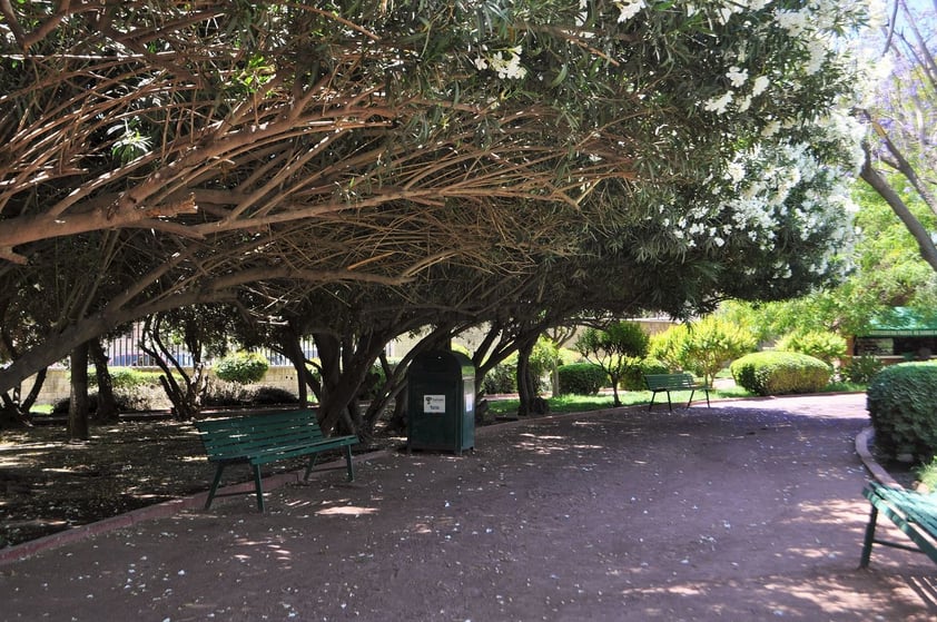 La entrada al parque es gratuita pero se prohíbe introducir bebidas alcohólicas, transitar en bicicleta, entrar con mascotas, portar armas, encender fuego, acostarse en las bancas y realizar actos inmorales.