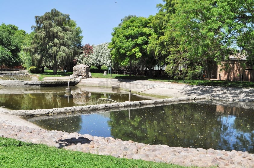 El año pasado se desató una polémica respecto a una gran cantidad de peces que murieron en el lago, sin embargo, el Municipio indicó que esto es normal porque se alimenta de agua tratada.