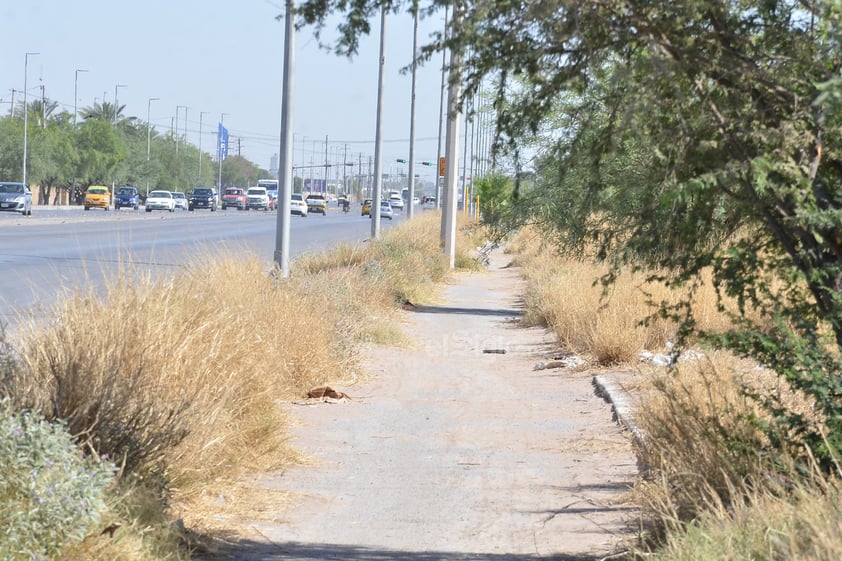 Parte de la ciclovia no puede ser utilizada ya que se encuentra entre la maleza y no se encuentra pavimentada de la forma adecuada.