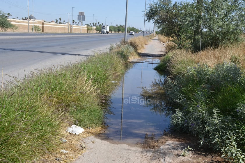 Además de la maleza, otras partes de la ciclovía presentan encharcamientos que vuelven el terreno completamente inútil pues ni siquiera los peatones podrían usarlo y tendrían que bajar a la vialidad para recorrer el respectivo tramo.