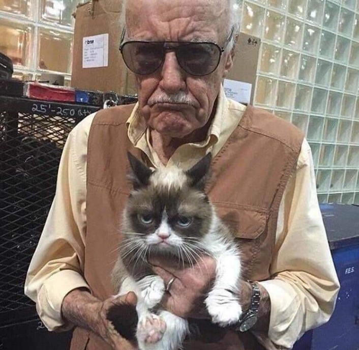 Muere Grumpy, el famoso gato de los memes