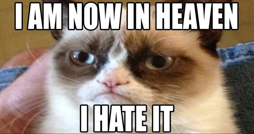 Muere Grumpy, el famoso gato de los memes