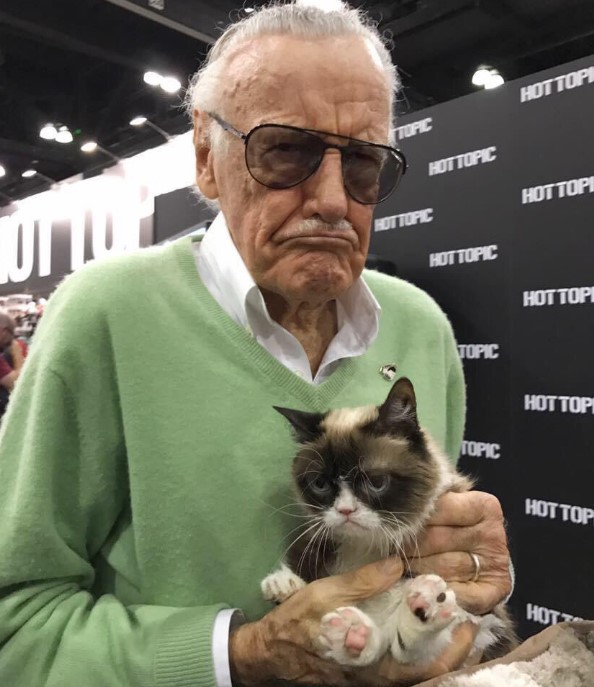 Muere Grumpy, el famoso gato de los memes