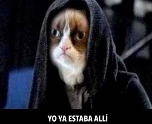 Muere Grumpy, el famoso gato de los memes