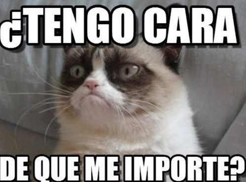 Muere Grumpy, el famoso gato de los memes