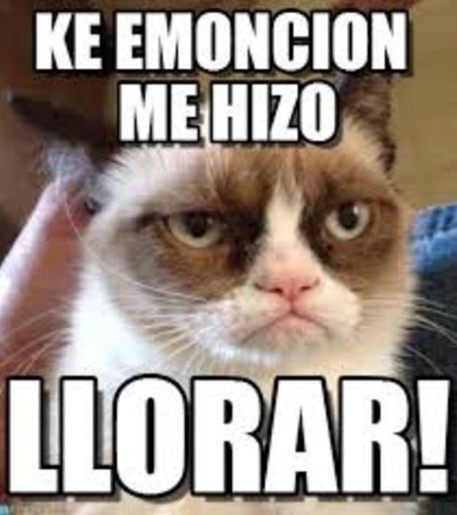 Muere Grumpy, el famoso gato de los memes