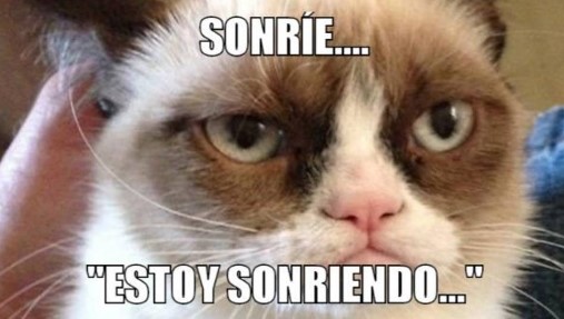 Muere Grumpy, el famoso gato de los memes