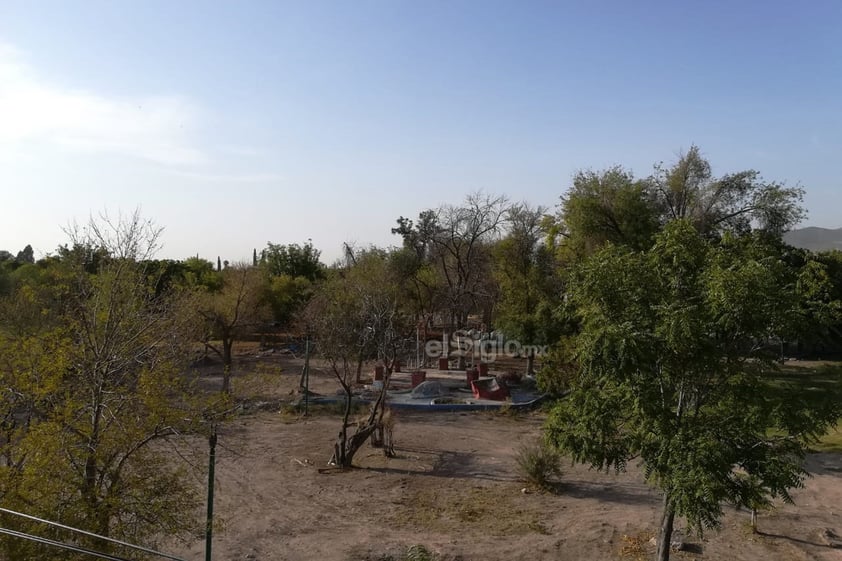 Seco. Los problemas que atraviesa la colonia Torreón Jardín han impactado a su plaza principal con el cambio de verde a café.