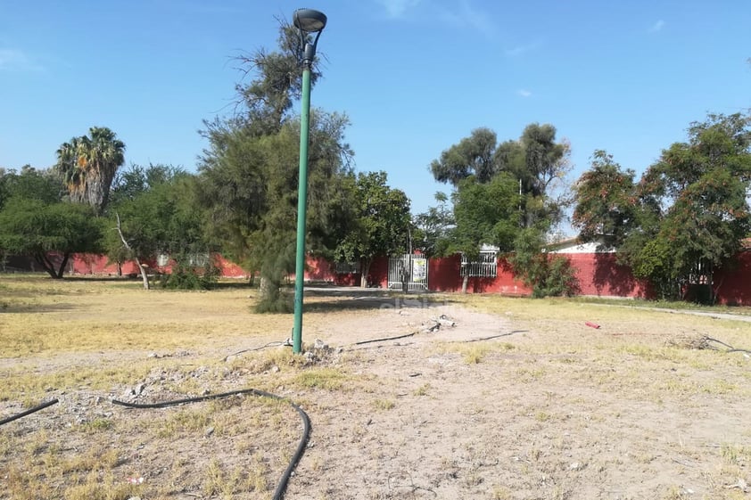 Afecta instituciones y escuelas. El jardín de niños Cámara Junior, así como el Instituto Lagunero de la Audición y el Lenguaje han padecido de los estragos de esta plaza, la cual antes embellecía sus recintos, pero ahora lo vuelven un espacio con riesgos para las personas.