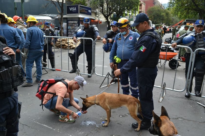 Ambos perros disfrutan ahora de una vida más tranquila, mientras que la Dirección de Seguridad Pública en su área de Escuadrón Canino se encuentra entrenando a quienes serán los sucesores.