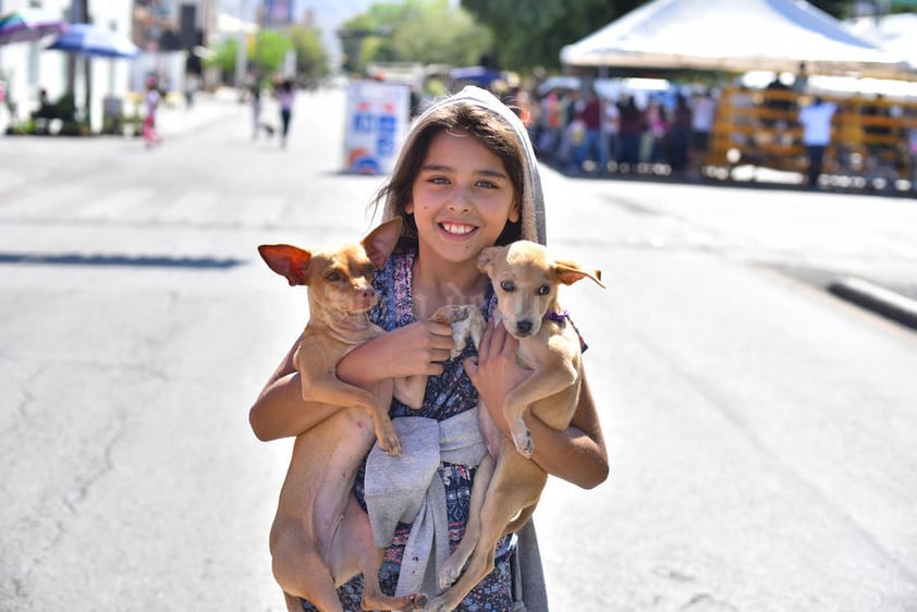 05112019 Ángela, Chuleta, Pooky.