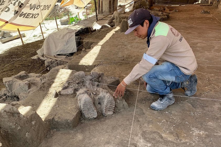 El arqueólogo Luís Córdoba Barradas informó además que en este sitio se encontraron dos trampas de mamut consideradas como las primeras en el mundo.