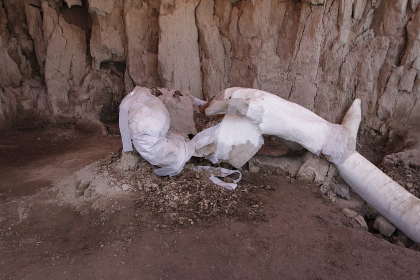 El arqueólogo dijo también que nunca se había encontrado una gran cantidad de huesos de mamut en un único sitio