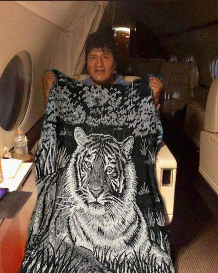 Los mejores memes de la llegada de Evo Morales a México 