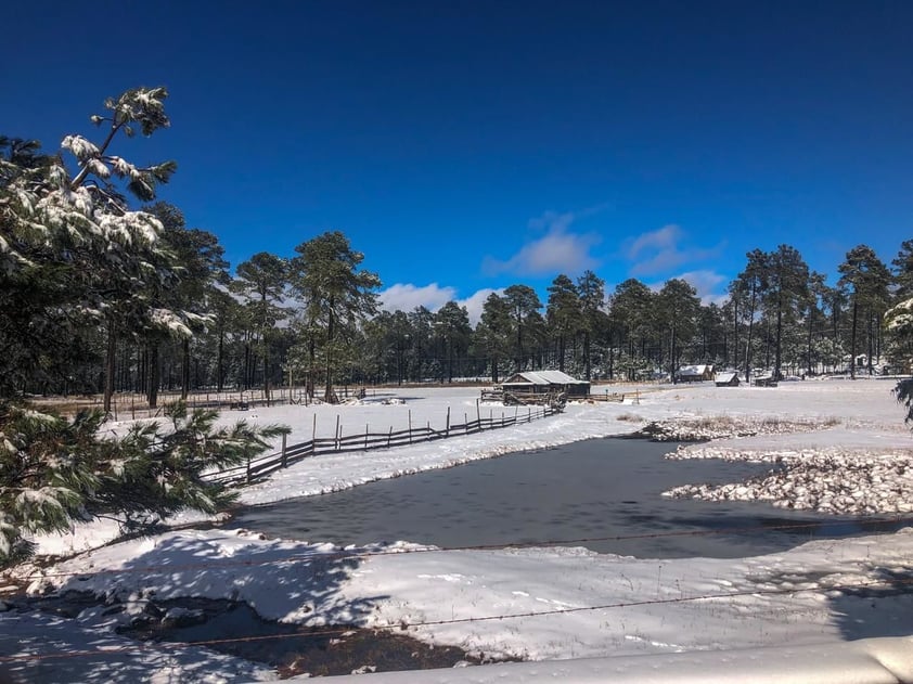 Nieve en Durango deja imágenes de postal