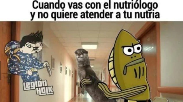 Internautas comparten divertidos memes de la profesión 