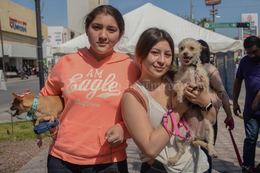 24032020 Chiquita, Renata, Karla y Whisky.