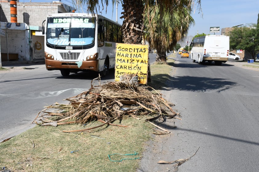 Abandono. Para muestra del descuido también del departamento de Parques y Jardines, se encuentra el camellón de la calle principal, con ramas tiradas y palmas sin podar desde hace mucho tiempo.