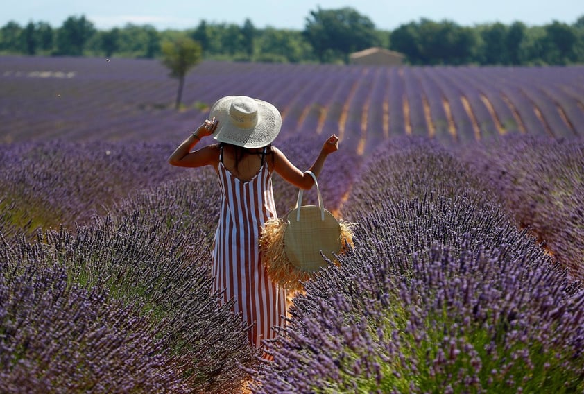 Campos de lavanda orquestan su particular sinfonía visual en Brihuega