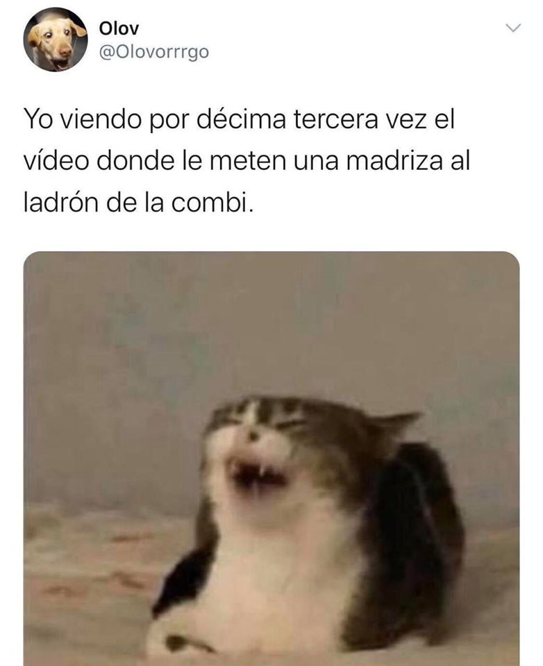 Ya están aquí los memes del 'ladrón' de la carretera México-Texcoco