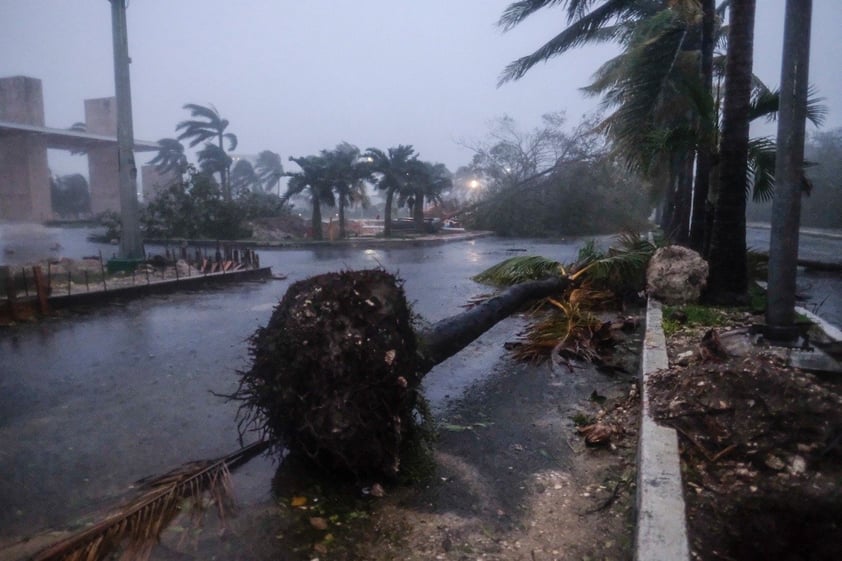 Por la mañana los habitantes de Puerto Morelos salieron a limpiar sus calles y despejar las carreteras, mientras se aseguraban de que todas las familias estuvieran intactas y sin pérdidas humanas que lamentar.