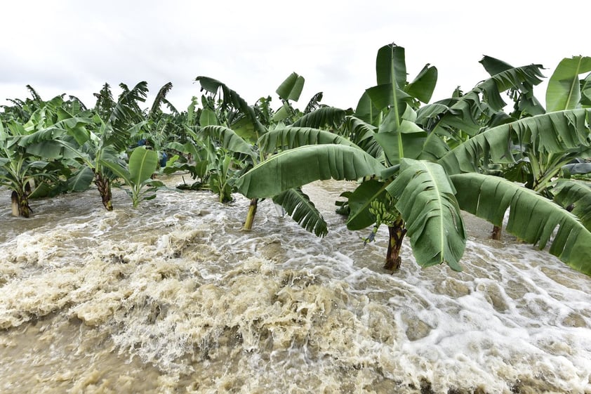 Lluvias dejan al menos 12 muertos en sureste de México