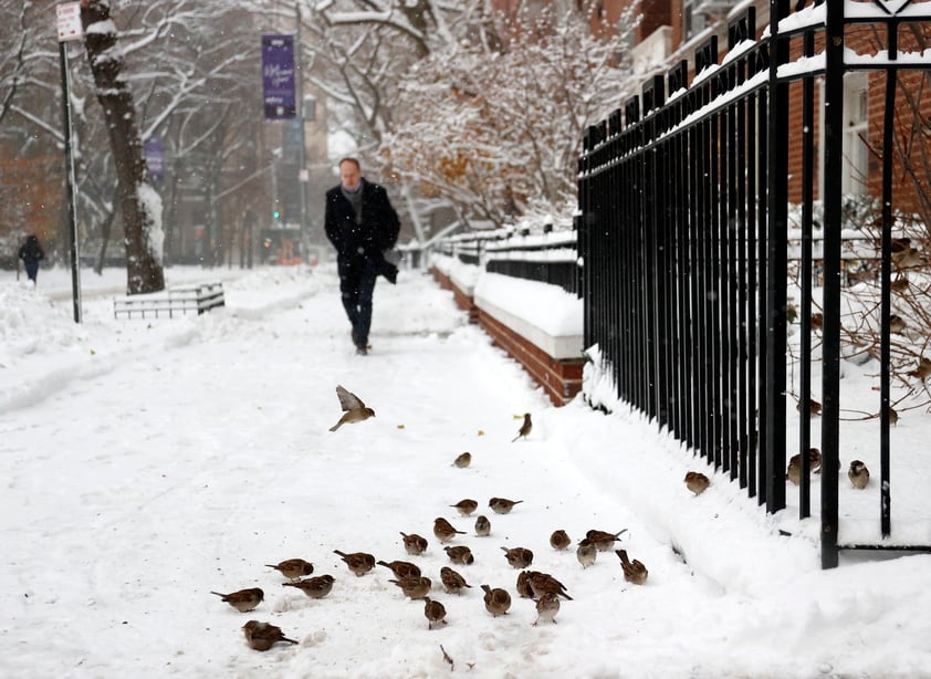 El alcalde de la ciudad, Bill de Blasio, aseguró que la cantidad de nieve registrada en las últimas 24 horas era la mayor desde enero de 2016.