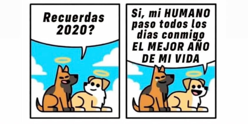 'Adiós 2020'; memes reciben al Año Nuevo en redes