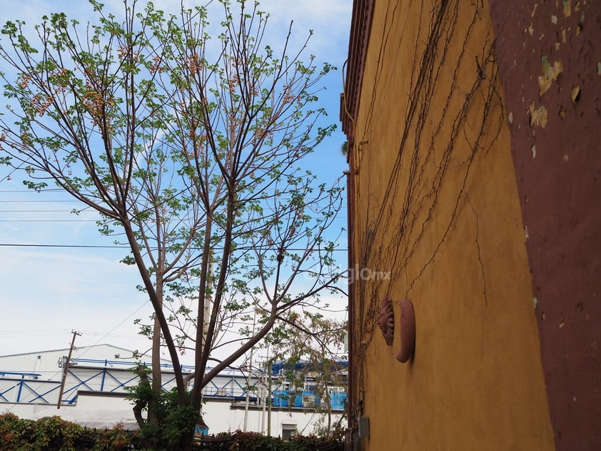 La casona que descansa bajo el cerro en Torreón