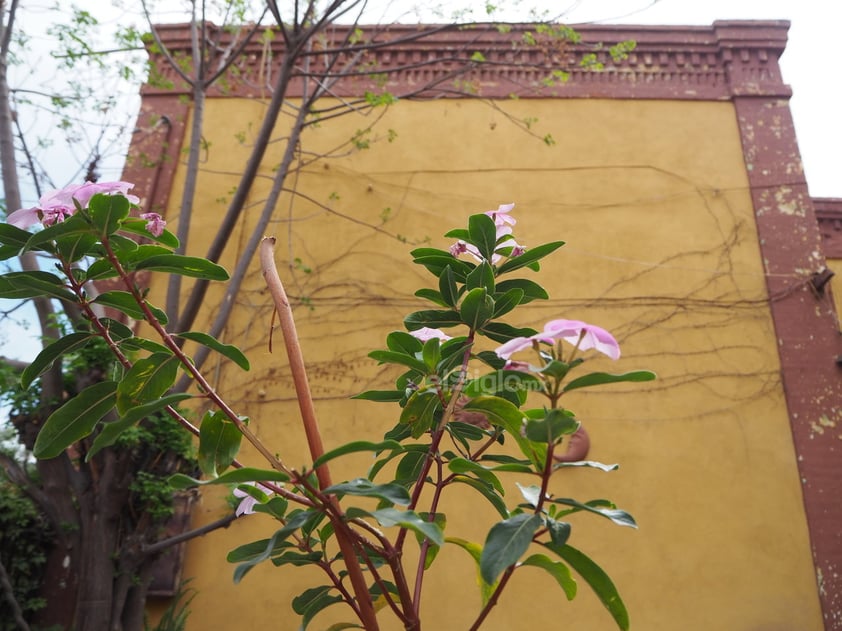 La casona que descansa bajo el cerro en Torreón