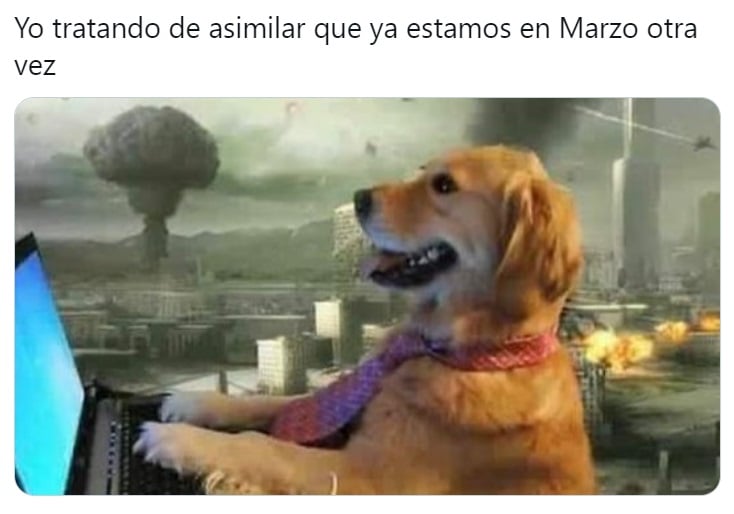 Reciben marzo con memes en redes sociales