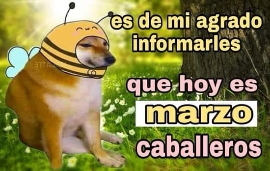 Reciben marzo con memes en redes sociales