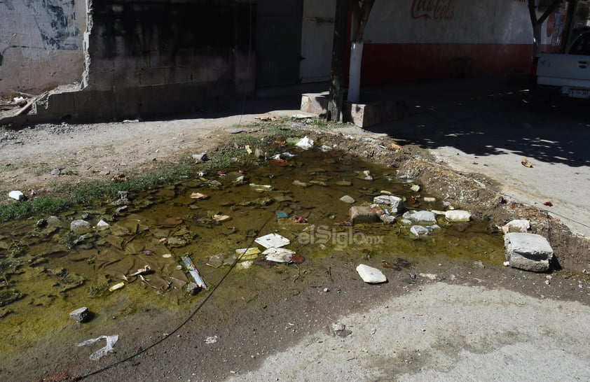 La línea del 'olvido'. La mala calidad del pavimento queda en evidencia frente a la llamada Línea Verde, con los baches que se generan y el agua que se logra acumular; ejemplo de ello son las calles De la Estación y Del Mar.