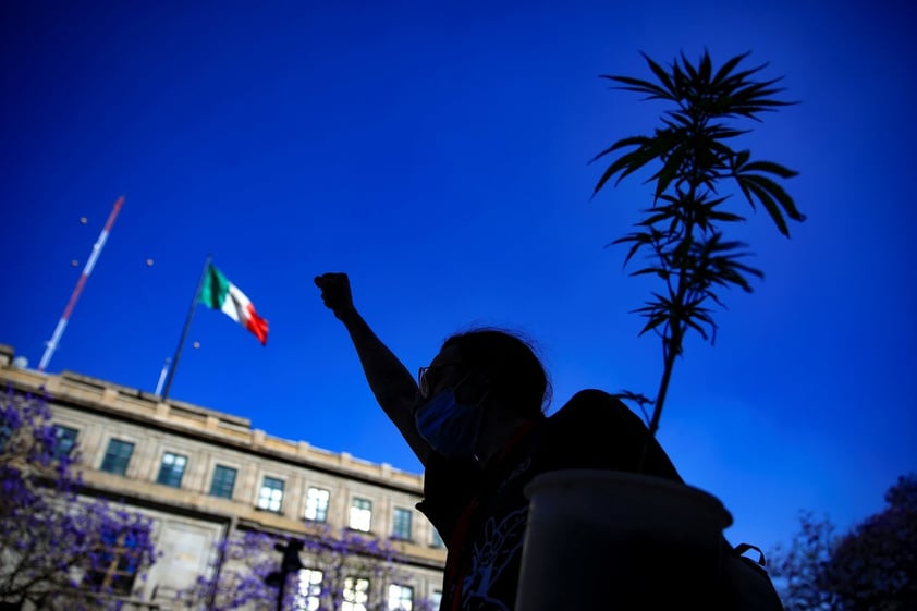 Demandan ley sobre marihuana que respete derechos en México