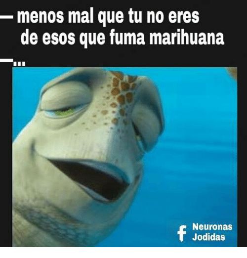 Celebran en redes legalización de la marihuana con memes 'espaciales'