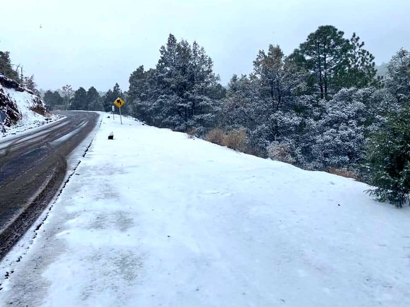 En plena primavera, Chihuahua y Sonora se cubren de blanco por nevada