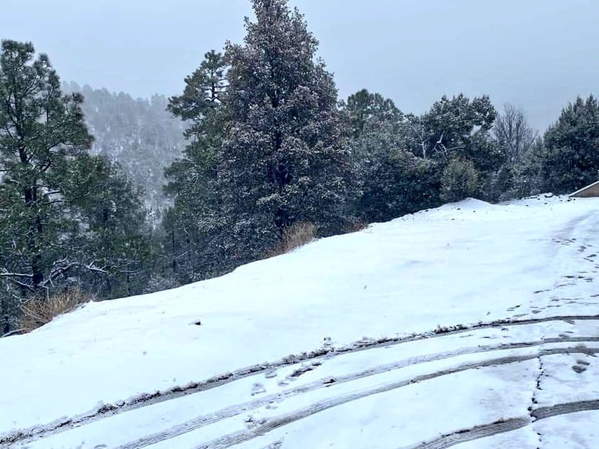 En plena primavera, Chihuahua y Sonora se cubren de blanco por nevada