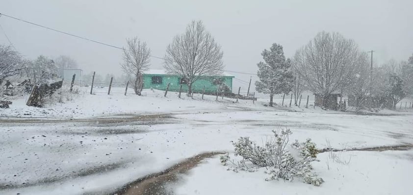 En plena primavera, Chihuahua y Sonora se cubren de blanco por nevada