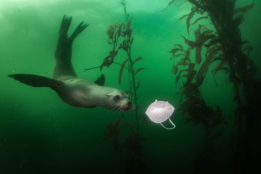 Imagen de Ralph Pace, ganadora de la categoría Medio Ambiente - Primer premio individual en el World Press Photo 2021.