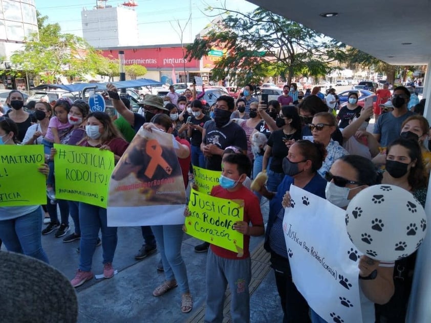 Exigen justicia para 'Rodolfo', el perrito asesinado en Los Mochis