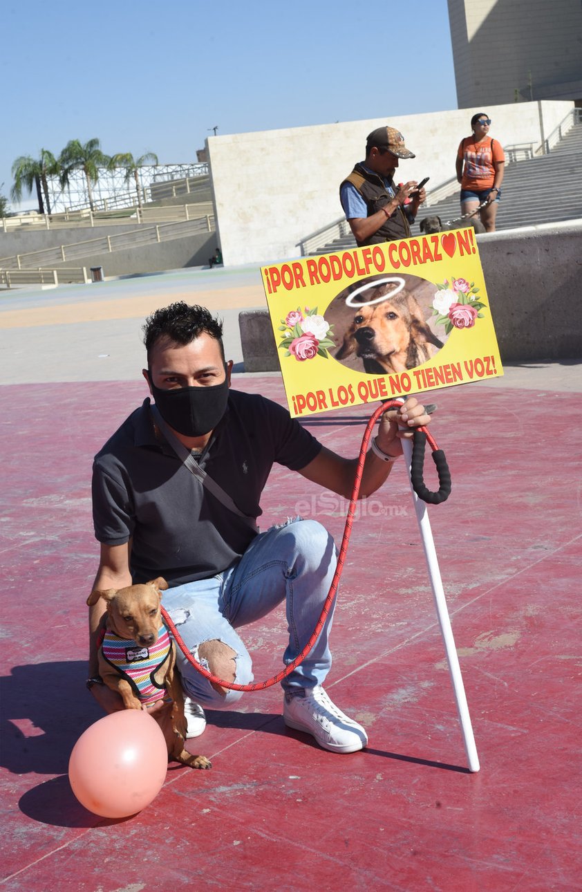 Marchan en Torreón en contra del maltrato animal