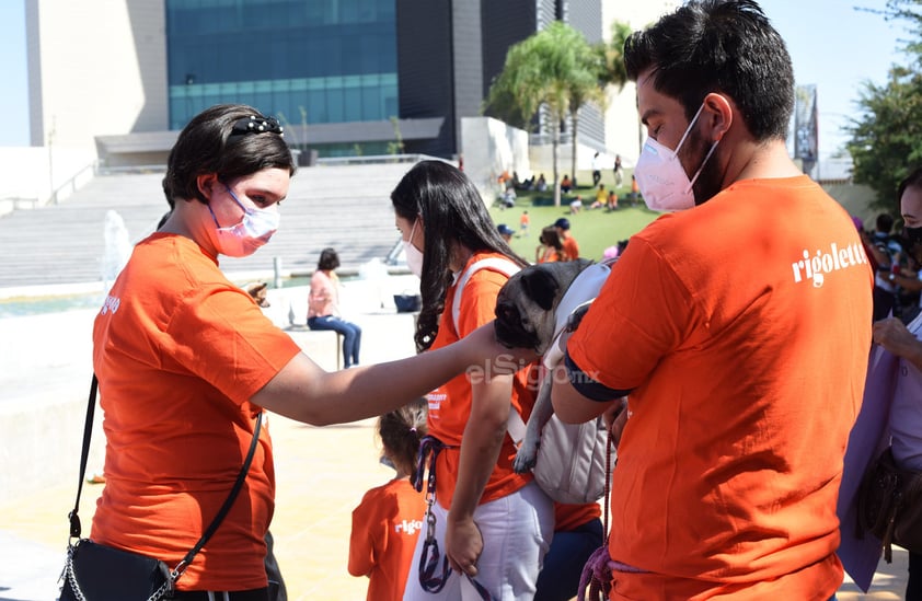 Marchan en Torreón en contra del maltrato animal