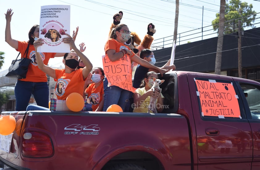 Marchan en Torreón en contra del maltrato animal