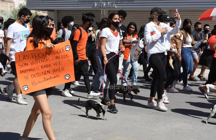 Marchan en Torreón en contra del maltrato animal