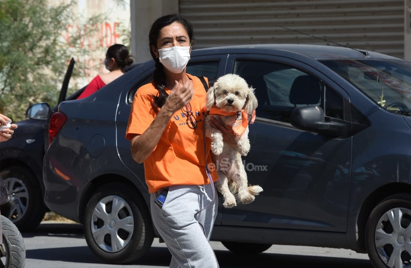 Marchan en Torreón en contra del maltrato animal