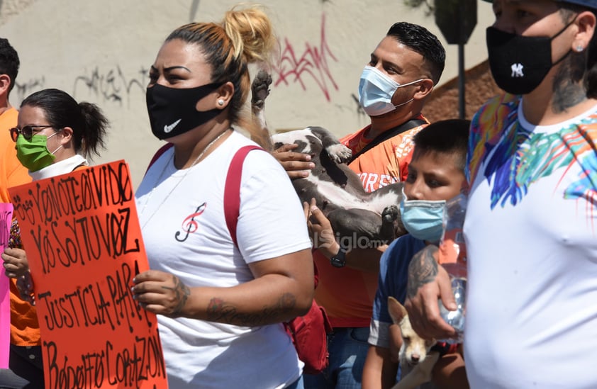 Marchan en Torreón en contra del maltrato animal