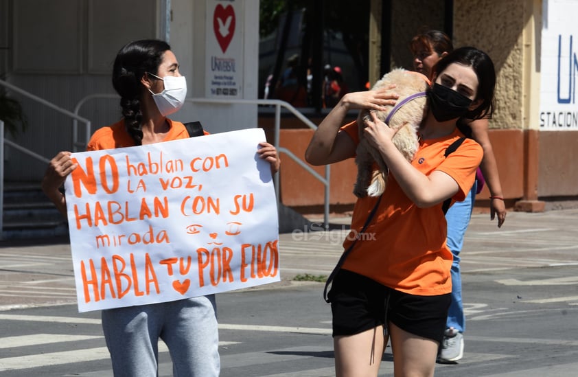 Marchan en Torreón en contra del maltrato animal