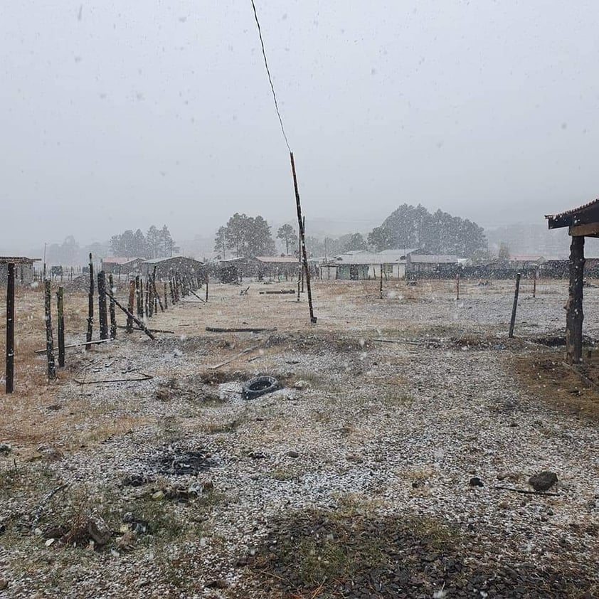 En plena primavera nevada sorprende a chihuahuenses en El Vergel