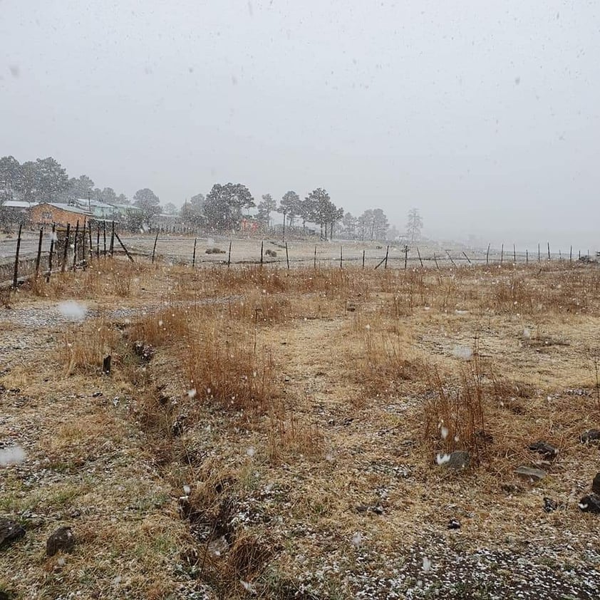 En plena primavera nevada sorprende a chihuahuenses en El Vergel