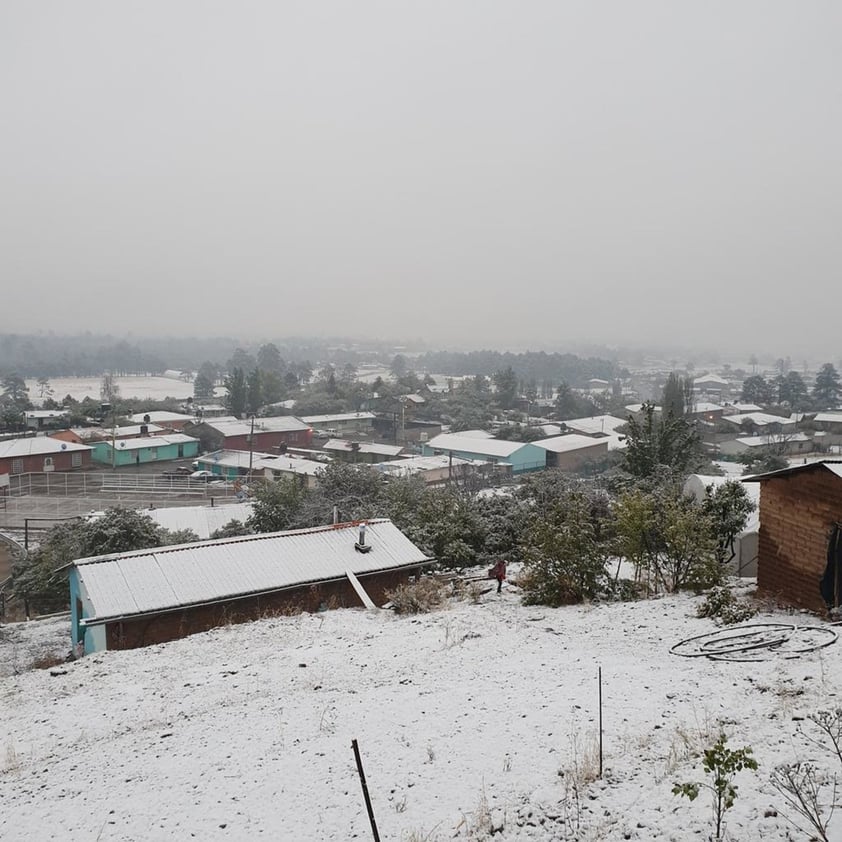 En plena primavera nevada sorprende a chihuahuenses en El Vergel